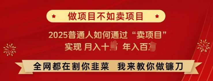 必看!做项目不如卖项目，2025普通人如何通过“卖项目”实现月入十个，年入百个【揭秘】-宇文网创