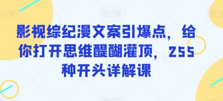 影视综纪漫文案引爆点，给你打开思维醍醐灌顶，255种开头详解课-宇文网创