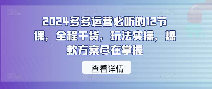 2024多多运营必听的12节课,全程干货,玩法实操,爆款方案尽在掌握-宇文网创