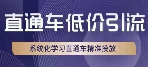 直通车低价引流课，系统化学习直通车精准投放-宇文网创
