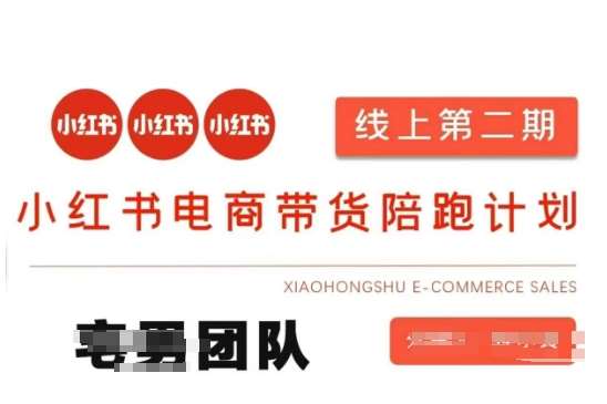 小红书电商带货课2期，月利润20个的小红书电商的有货源，无货源，虚拟产品，付费投流等整套玩法-宇文网创