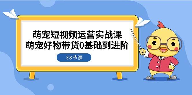 萌宠·短视频运营实战课：萌宠好物带货0基础到进阶（38节课）-宇文网创