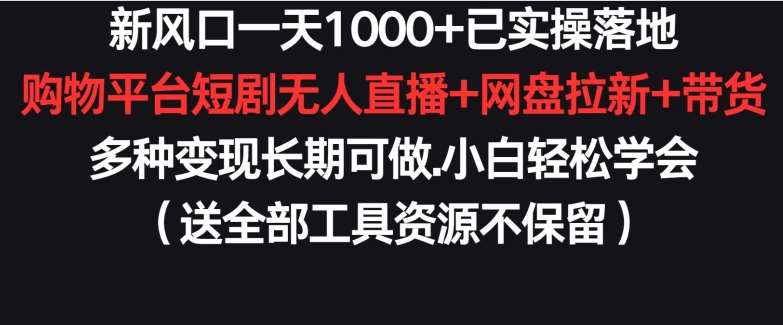 新风口一天1000+已实操落地购物平台短剧无人直播+网盘拉新+带货多种变现长期可做【揭秘】-宇文网创