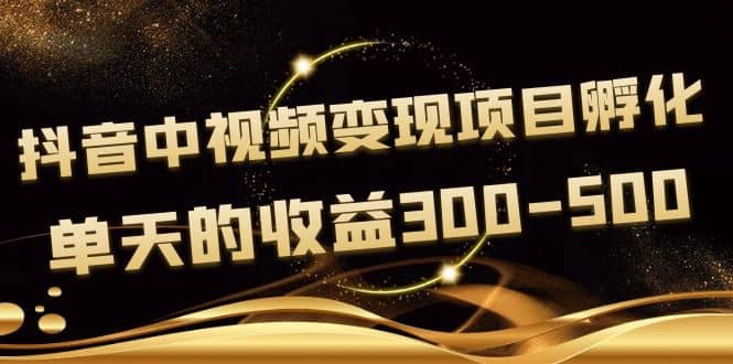黄岛主《抖音中视频变现项目孵化》单天的收益300-500 操作简单粗暴-宇文网创