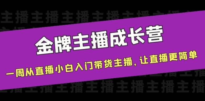 金牌主播成长营，一周从直播小白入门带货主播，让直播更简单-宇文网创