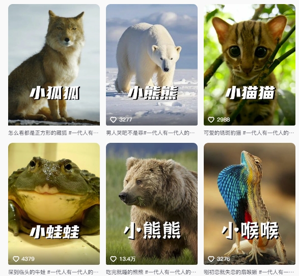 图片[2]-最新搞笑动物百科详细解说课程，蓝海赛道，流量非常大，轻松签独家进精选-宇文网创