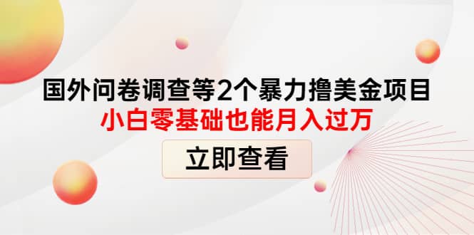 国外问卷调查等2个暴力撸美元项目，小白零基础也能月入过万-宇文网创