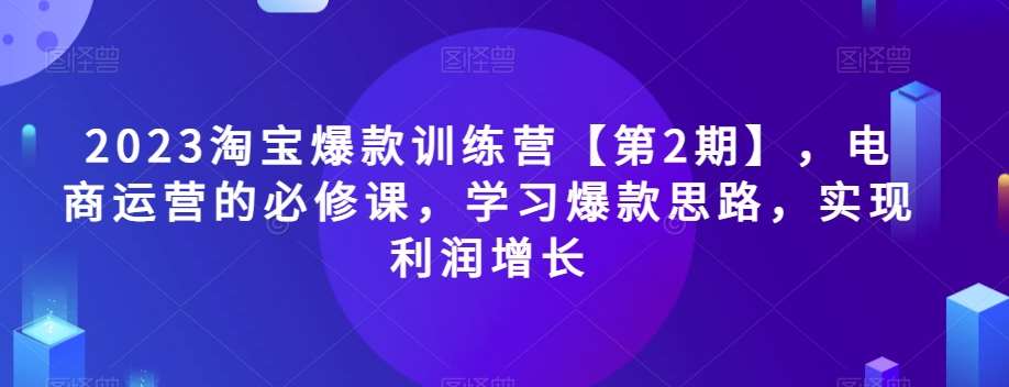 2023淘宝爆款训练营【第2期】，电商运营的必修课，学习爆款思路，实现利润增长-宇文网创
