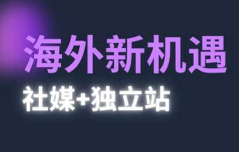 2025出海新机遇(社媒+独立站)，海外新机遇，实现独立站的高效运营与出海-宇文网创