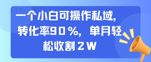 一个小白可操作私域，转化率90%，单月轻松收割2W-宇文网创