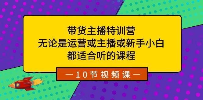 （8464期）带货主播特训营：无论是运营或主播或新手小白，都适合听的课程-宇文网创