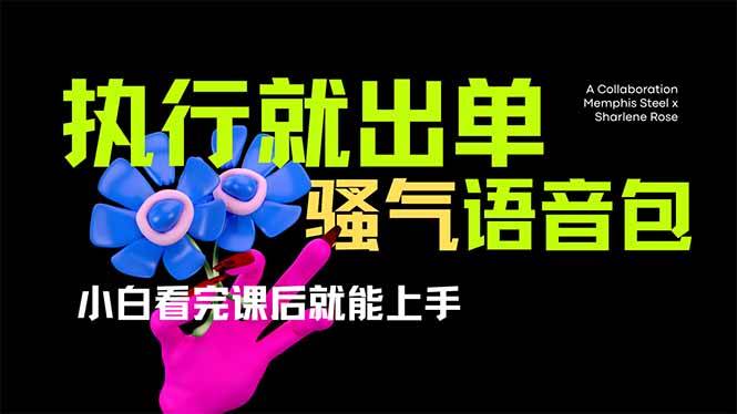 （14170期）爆火全网的开车导航骚气语音包,只要执行就出单，小白看完课程就能实操...-宇文网创