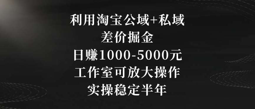 利用淘宝公域+私域差价掘金，日赚1000-5000元，工作室可放大操作，实操稳定半年【揭秘】-宇文网创