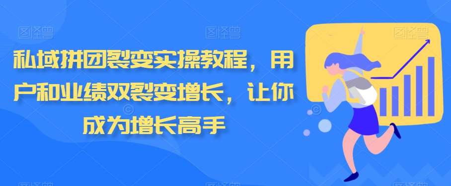 私域拼团裂变实操教程，用户和业绩双裂变增长，让你成为增长高手-宇文网创