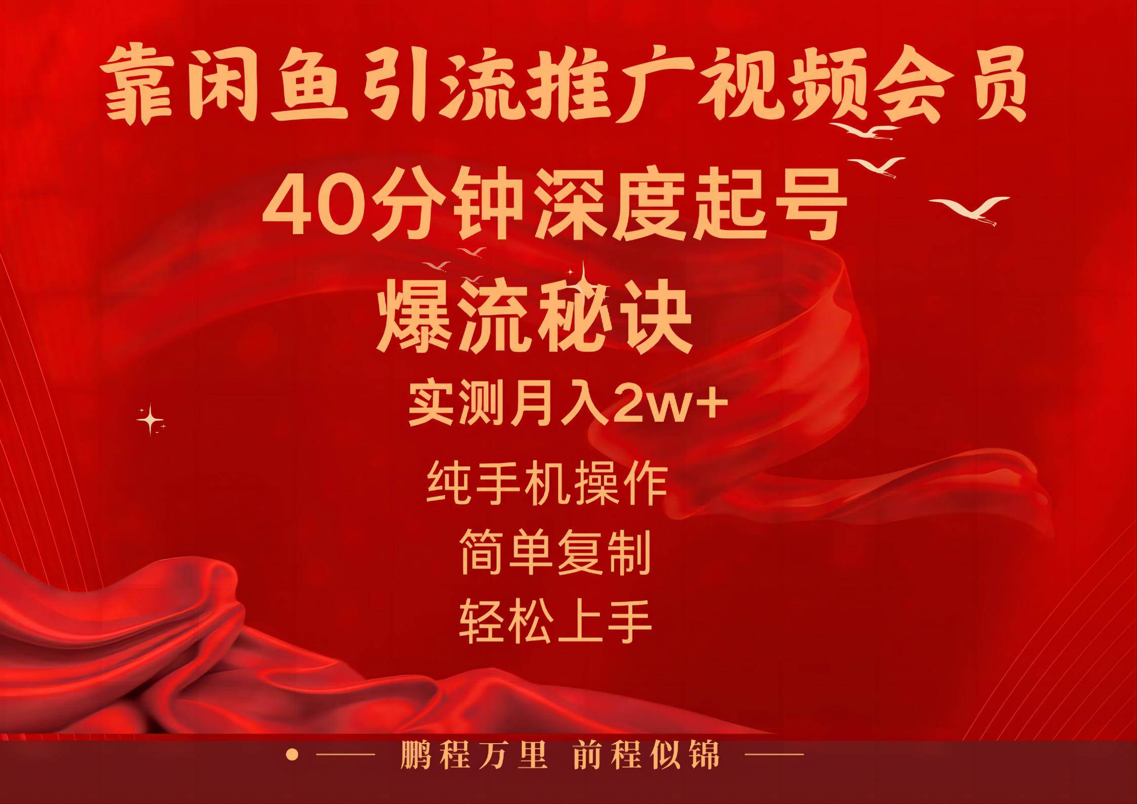 （10896期）闲鱼暴力引流推广视频会员，能做到日入2W+，操作简单-宇文网创