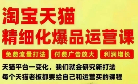 淘宝天猫精细化爆品运营课，免费流量打法-付费广告放大-利润增长-三大核心痛点，一次全部解决-宇文网创