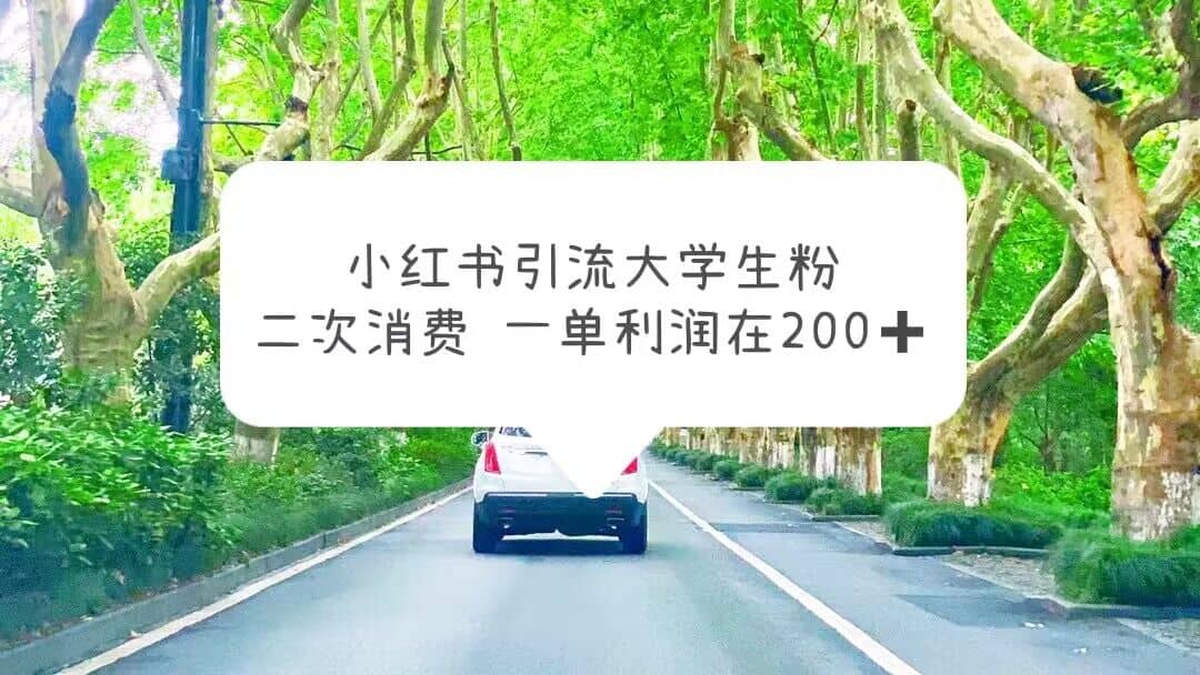 小红书引流大学生粉，变现项目，一单利润在200+（教程+资源）-宇文网创