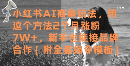 小红书AI商单玩法，用这个方法2个月涨粉7W+，新手也能接品牌合作(附全套指令模板)-宇文网创
