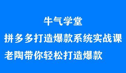 牛气学堂拼多多打造爆款系统实战课，老陶带你轻松打造爆款-宇文网创