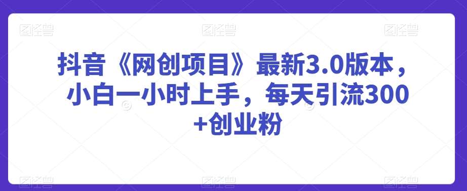 抖音《网创项目》最新3.0版本，小白一小时上手，每天引流300+创业粉【揭秘】-宇文网创