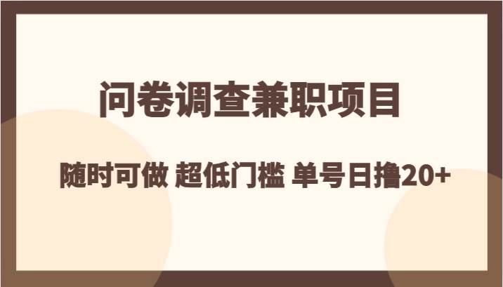 问卷调查兼职项目，随时可做 超低门槛 单号日撸20+-宇文网创