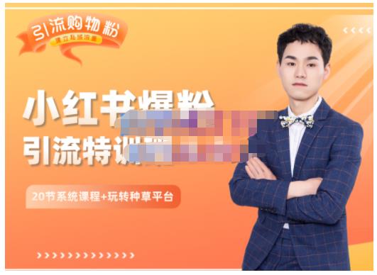 陆明明·小红书爆粉特训班5.0，助你轻松玩转小红书平台价值1380元-宇文网创