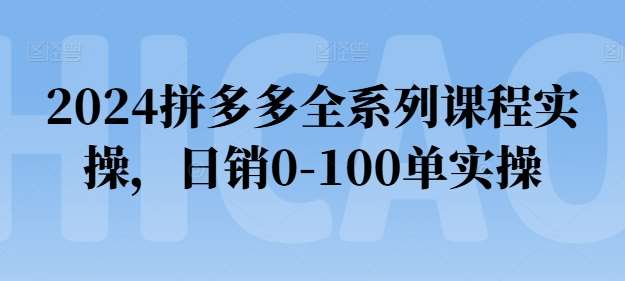 2024拼多多全系列课程实操，日销0-100单实操【必看】-宇文网创