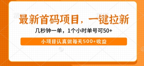 最新首码项目，操作最简单，收益高，一键拉新，1个小时单号可50+，小项目认真做每天5张+收益【揭秘】-宇文网创
