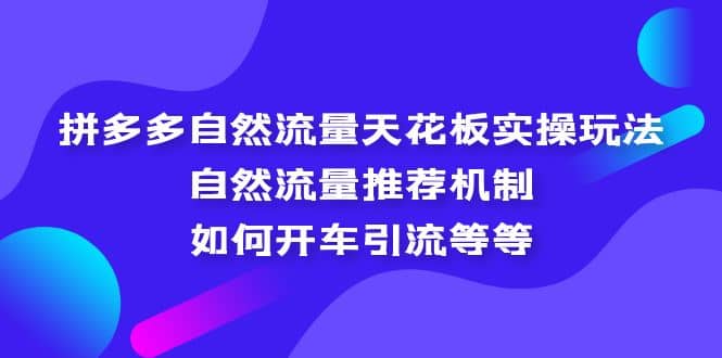 拼多多自然流量天花板实操玩法：自然流量推荐机制，如何开车引流等等-宇文网创