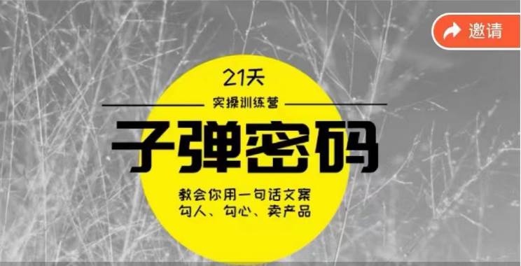 《子弹密码训练营》-用一句话文案勾人勾心卖产品，21天学到顶尖文案大师策略和技巧-宇文网创