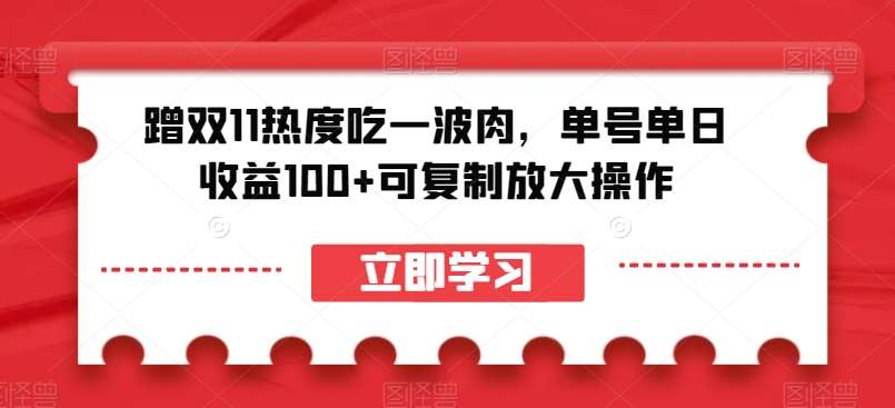 蹭双11热度吃一波肉，单号单日收益100+可复制放大操作【揭秘】-宇文网创