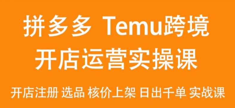 2024Temu最新玩法，Temu跨境开店运营实操课，开店注册/选品/核价上架/日出千单实战课-宇文网创