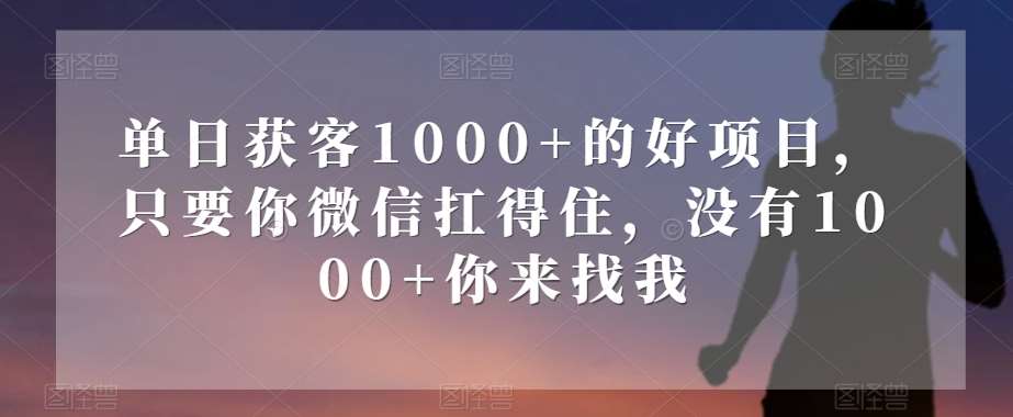 单日获客1000+的好项目，只要你微信扛得住，没有1000+你来找我【揭秘】-宇文网创
