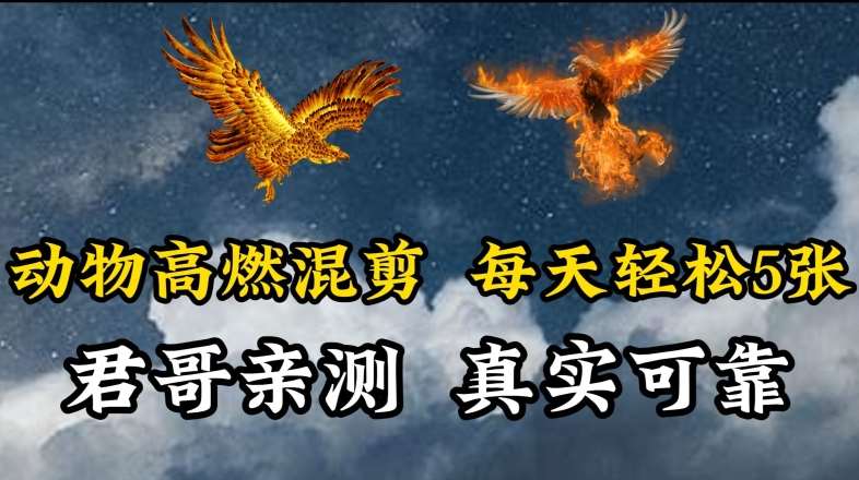 动物超燃混剪,每天轻松5张,剪辑简单大家爱看【揭秘】-宇文网创