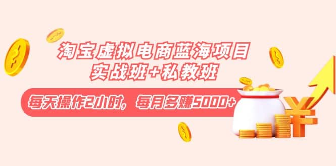 淘宝虚拟电商蓝海项目实战班+私教班-宇文网创
