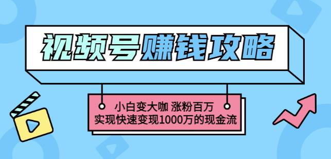 玩转微信视频号赚钱:小白变大咖涨粉百万实现快速变现1000万的现金流-宇文网创