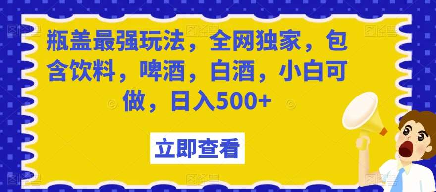 瓶盖最强玩法，全网独家，包含饮料，啤酒，白酒，小白可做，日入500+【揭秘】-宇文网创