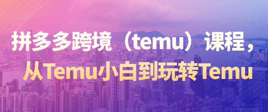 拼多多跨境（temu）课程，从Temu小白到玩转Temu-宇文网创