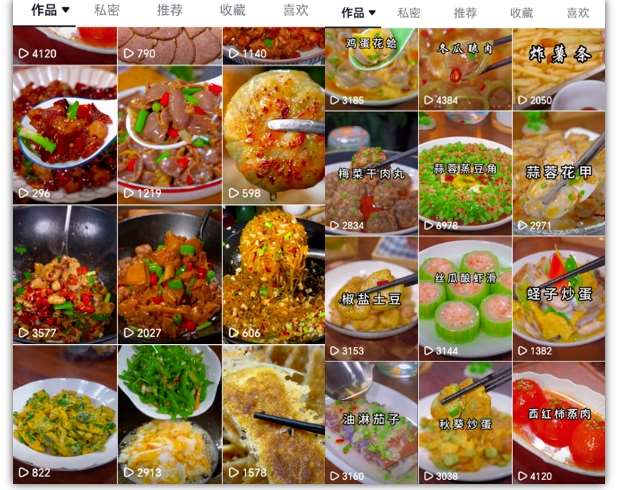 图片[2]-抖音带货美食领域课程，无需真人实拍仅靠剪辑实现涨粉-宇文网创