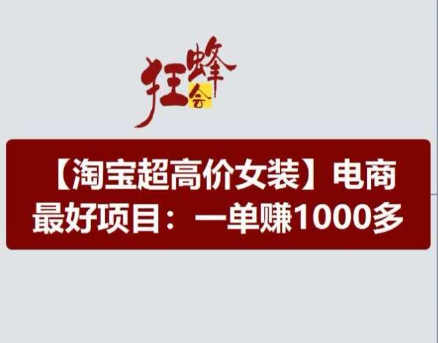 淘宝超高价女装项目,电商最好赛道,一单赚1000多-宇文网创
