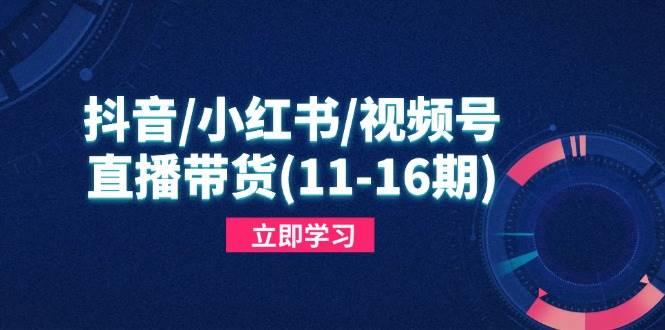 （14611期）抖音/小红书/视频号/直播带货(11-16期)，快速掌握平台规则，打造爆款内容-宇文网创