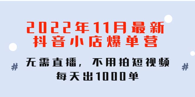 2022年11月最新抖音小店爆单训练营：无需直播，不用拍短视频，每天出1000单-宇文网创