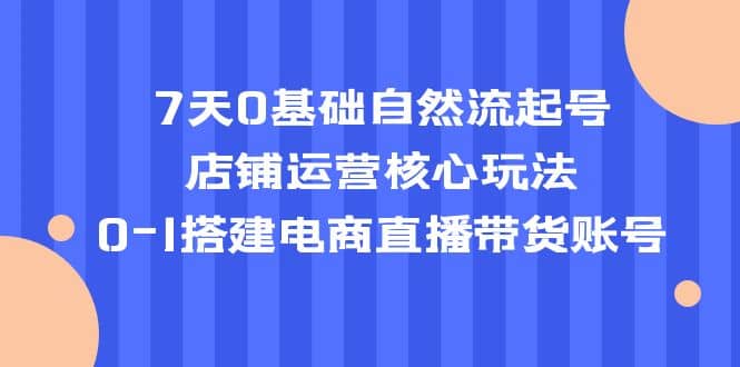 7天0基础自然流起号,店铺运营核心玩法,0-1搭建电商直播带货账号-宇文网创
