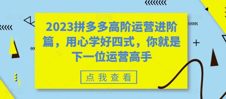 2023拼多多高阶运营进阶篇，用心学好四式，你就是下一位运营高手-宇文网创