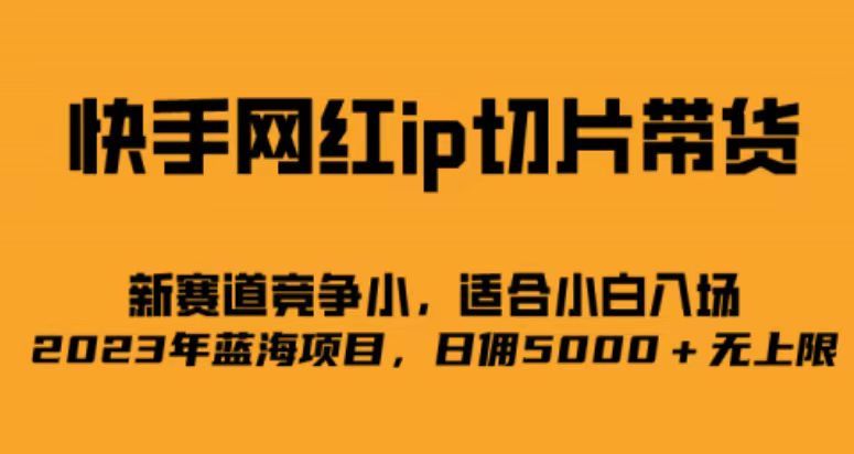 快手网红ip切片新赛道，竞争小事，适合小白 2023蓝海项目-宇文网创