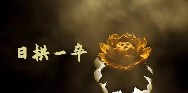 无脑搬砖，普通人可以复制的副业赚钱项目(附软件)-宇文网创