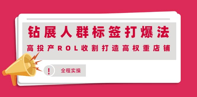 钻展人群标签打爆法，高投产ROL收割打造高权重店铺(全程实操)-宇文网创