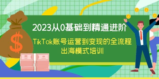 2023从0基础到精通进阶,TikTok账号运营到变现的全流程出海模式培训-宇文网创