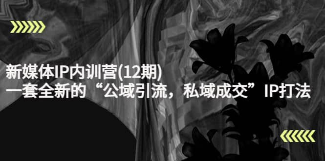 新媒体IP内训营(12期)，一套全新的“公域引流，私域成交”IP打法，直接带走-宇文网创