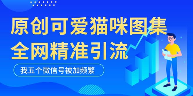 黑科技纯原创可爱猫咪图片，全网精准引流，实操5个VX号被加频繁-宇文网创